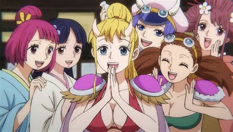 One Piece Harem Porn Videos 